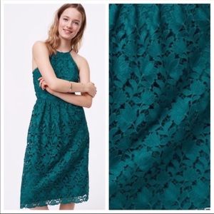 LOFT Green lace midi dress